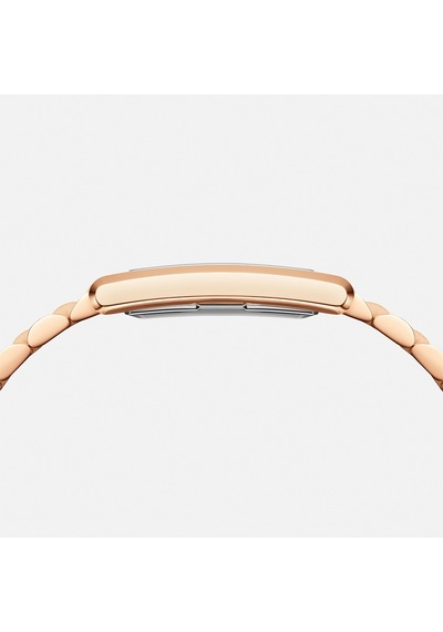 Daniel Wellington Dw00600702 Kadın Kol Saati Diğer