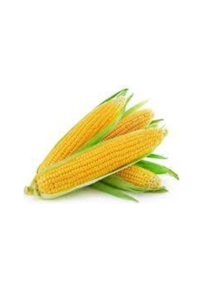 15 Adet Tohum Organik Yumuşak Haşlamalık Süt Mısır Tohumu Darı Tohumu Sürpriz Hediye Tohum