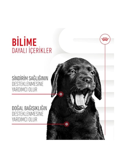 Immunity&digestion Chews Bağışıklık Ve Sindirim Sistemini Destekleyen Tamamlayıcı Ödül Maması 100g