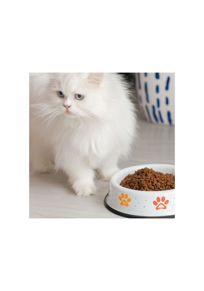 Emaye Kedi Köpek Mama Ve Su Kabı Renkli Pati - Pembe
