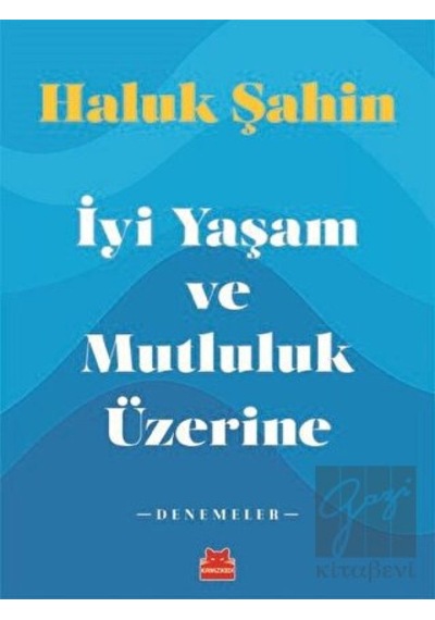 İyi Yaşam ve Mutluluk Üzerine - Denemeler - Haluk Şahin - Kırmızı Kedi
