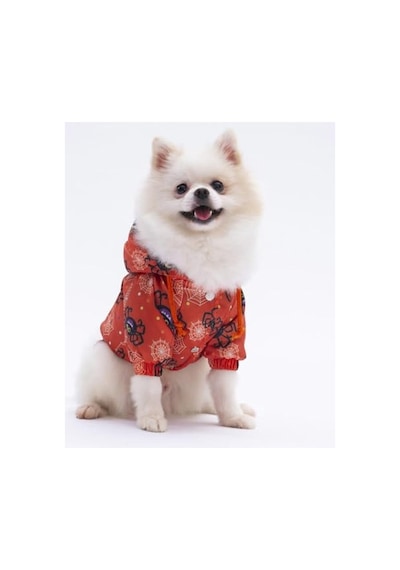 Adonis Köpek Montu, Yağmurluk, Küçük-büyük Irklar İçin 6xl Açık Gri