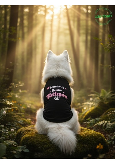 Siyah Hanimiş Benim Tatlışım Baskılı Kedi Ve Köpek Kıyafeti Tişörtü Elbisesi Medium/m/beden 2