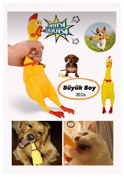 Köpek Ve Kediler İçin Sesli Horoz Eğlenceli Zararsız Sesli Öten
