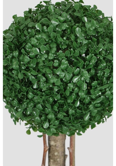 Yapay Çiçek Deposu Yapay Küçük Şimşir Ağacı 50 Cm Beyaz Saksılı