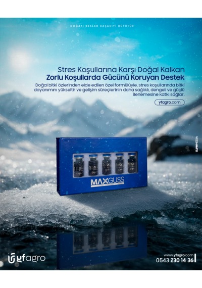 Yf Agro Maxguss 0.5 KG