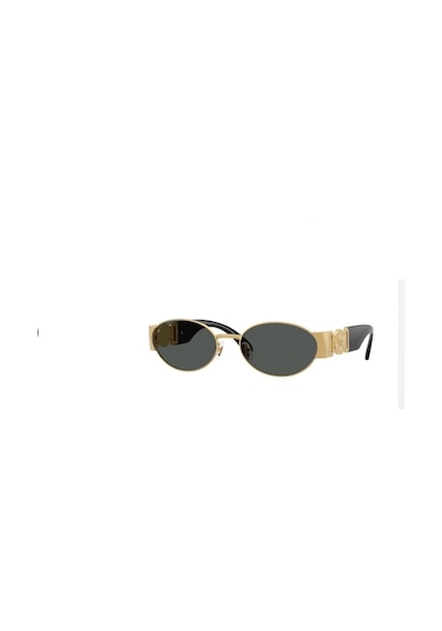 Versace 2299 1028756 Çok Renkli