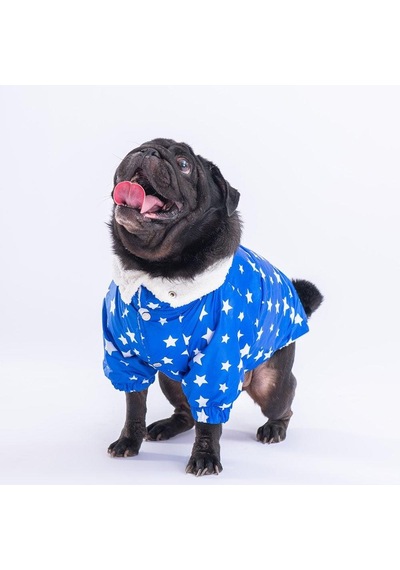 Pawstar Mavi Stars Yağmurluk Küçük Ve Orta Irk-20196