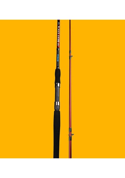 Alesta Best Stıck 240 Cm 10-30gr 2pc Spin Kamış 1