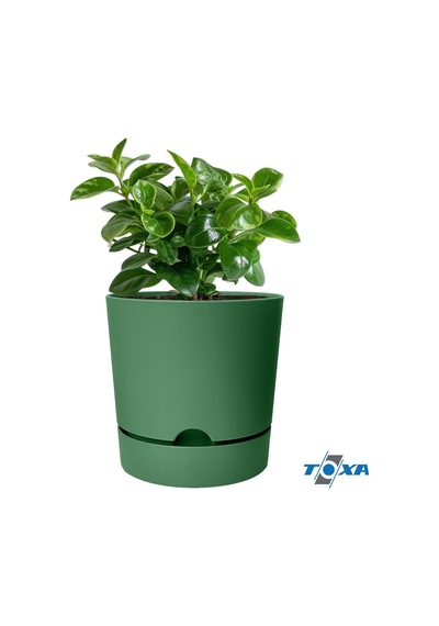 Begonya Saksı Tabaklı Drenajlı Mat Plastik Çiçek Saksısı 4 Adet, 3,3 Litre, 18cm, Yeşil Diğer