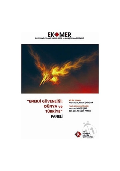 Enerji Güvenliği Dünya ve Türkiye Paneli 2010