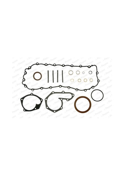 PAYEN EC5060 PAYEN MOTOR TAKIM CONTA ALT R19 CLIO KANGOO MEGANE I