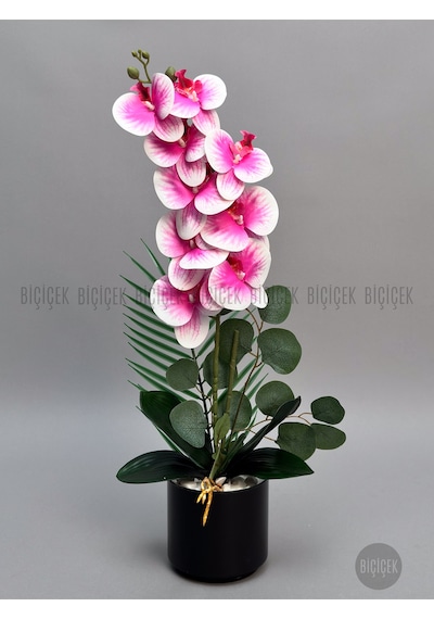 Yapay Phalaenopsi S Pembe Orki De 60 Cm Siyah