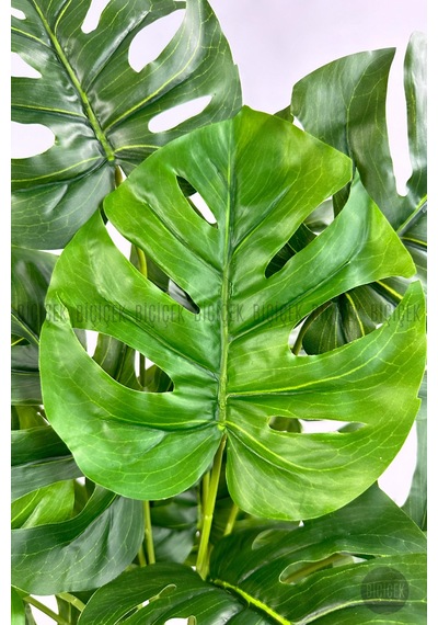 Yapay Monstera Deve Tabani 65 Cm Demi R Destekli Kulplu Hasir Saksıda Krem