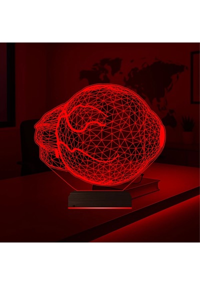Luvivia Göz Doktoru Hediye 3d Lamba - Masa Gece Lambası Şeffaf