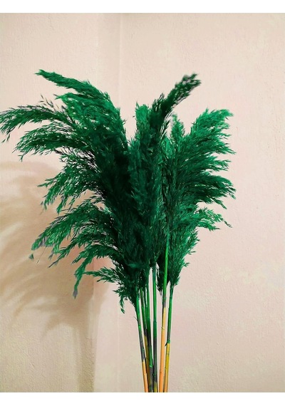 8'li Büyük Demet Pampas Zümrüt Yeşil 100cm Boyunda Çok Renkli