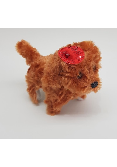 Pilli Sesli Yerde Yürüyen Sevimli Köpek Kahverengi