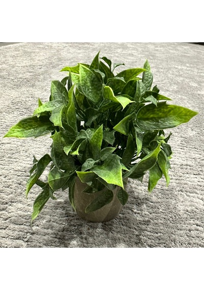 Dekoratif Eskitme Gri Saksıda Gerçekçi Yapay Yeşil Bitki - Modern Masa Ve Raf Çiçeği 24x18 Cm Yeşil