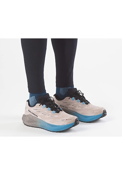 Salomon Aero Blaze 4 Grvl Gtx Erkek Outdoor Koşu Ayakkabısı L45403300 Bej