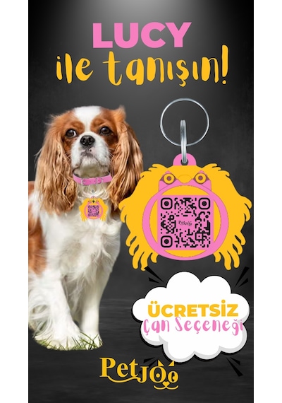 Petjoo 11.Lucy Sarı-Pembe Qr'lı Köpek Künyesi