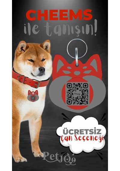 Petjoo 18.Cheems Gri-Kırmızı Qr'lı Köpek Künyesi