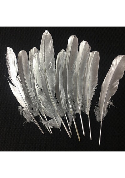 10 Adet Metalik Parlak Gümüş Kuş Tüyü Gümüş Kuş Tüyü Decor Silver Bırd Feather Gümüş Şeffaf Balon Tüyü
