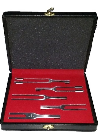 Diapozon Set Çelik 5 Parça Çantali