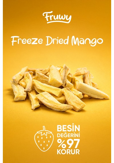 Freeze Dried Mango Kova Dondurularak Kurutulmuş Mango Diğer
