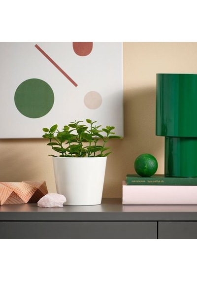 Ikea Fejka Yapay Bitki, Yeşil, 9 Cm, İç/dış Mekan Nane