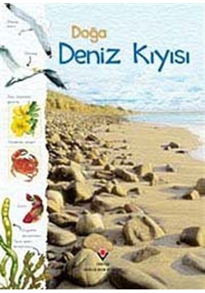 Doğa: Deniz Kıyısı / Sarah Courtauld