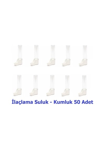 Suluğu - Kumluk 50 Adet
