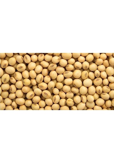 Dökme Bakliyat Soya Fasulyesi 1 KG