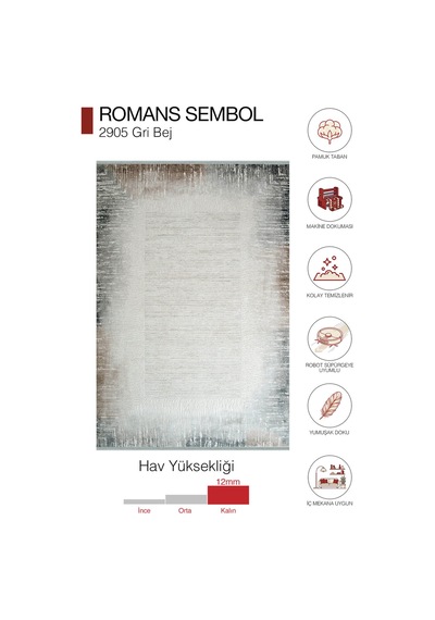 Sembol 2905 Gri Bej Akrilik Modern Çerçeve Desenli Halı