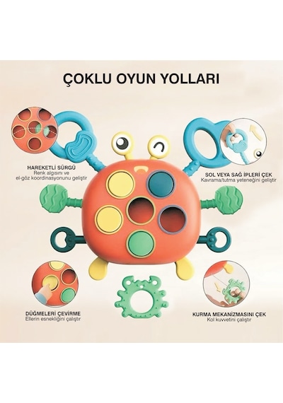 Yengeç Şekilli Montessori Duyusal Gözlem Beceri Geliştirme Eğitic