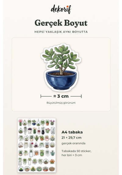Kaktüs Ve Sukulent Sticker Seti 100 Adet - Saksı Bitki Çöl Çiçeği Botanik Ajanda Journal Çıkartma Çok Renkli