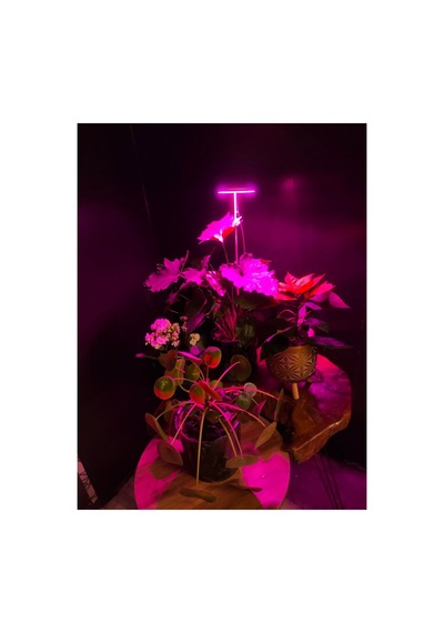 Bitki Led Lamba 5v Usb Tam Spektrumlu Bitki Yetiştirme Lambası 8w Pembe