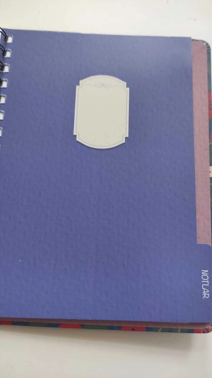 Günlük Haftalık Planlayıcı Defter Diğer