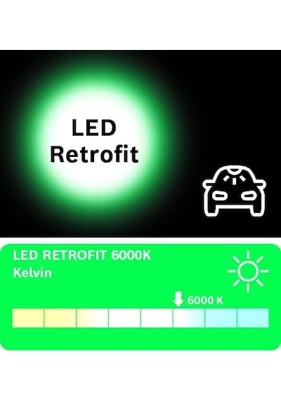 Bosch Led Retrofit W5W T10 Dipsiz Led Ampul 12V 6000K (W2,1x9,5d)