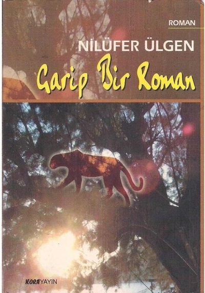 Garip Bir Roman - Nilüfer Ülgen 2.el
