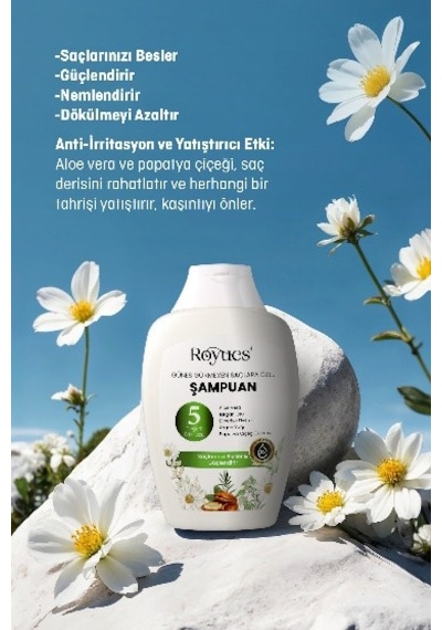 Royues Argan Yağlı Besleyici Sülfatsız Şampuan - Güneş Görmeyen S