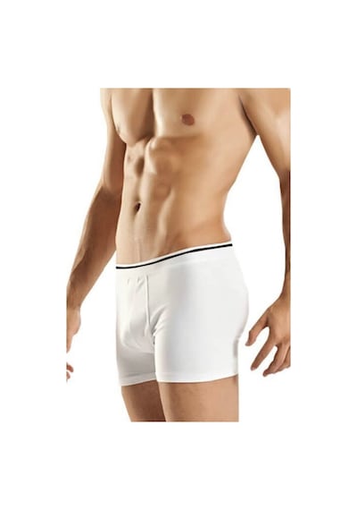 Berrak 1097 Erkek Likralı Boxer 3' Lü