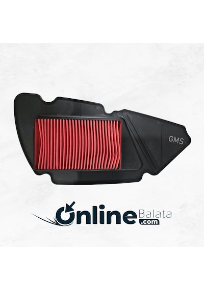 Volta Apec Ps5 150 Hava Filtresi Gvsapc