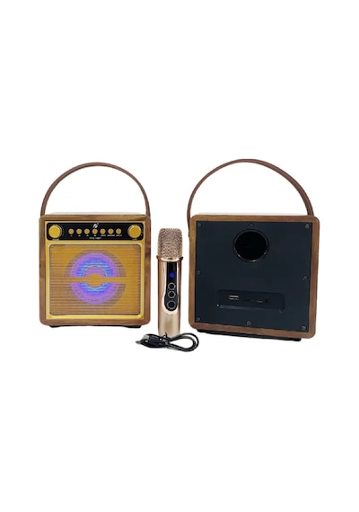Kts 1687 10 W 4" Mikrofonlu Bluetooth Speaker Kablosuz Karaoke Hoparlör