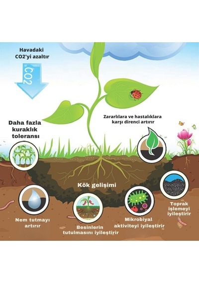 Prechar Meşe Odunu Bazlı Karbon Toprak Düzenleyici 5l Biochar 6mm Ve Üstü 5 Lt