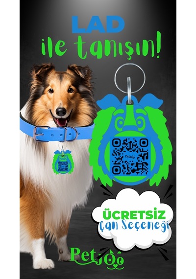 Petjoo 23.Lad Yeşil-Mavi Qr'lı Köpek Künyesi