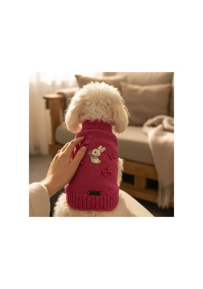 Kedi Ve Köpek İçin Tavşan Motifli Pembe Kazak