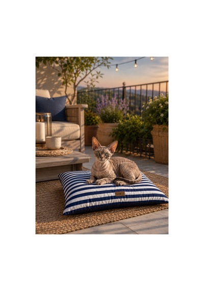Kedi Ve Köpek Yer Minderi Üst Kalite Yıkanabilir Kılıflı Fermuarlı %100 Boncuk Elyaf Kaydırmaz Taban Kedi Ve Köpek Yatağı Lacivert 1604618500 Kedi Ve Köpek Yer Minderi Üst Kalite Yıkanabilir Kılıflı Fermuarlı %100 Boncuk Elyaf Kaydırmaz Taban Kedi Ve Köpek Yatağı Lacivert 1604618500