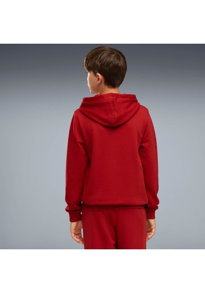 Puma Galatasaray Ftblculture Genç Kapüşonlu Sweatshırt 787646 01 Kırmızı