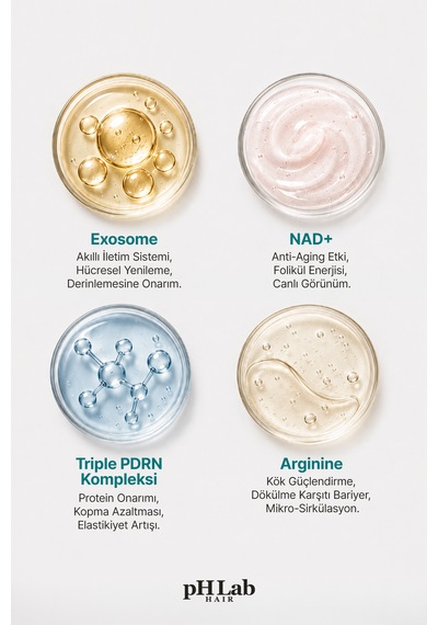 Phlab Hair Pdrn Nad+ & Exosome Hair & Scalp Care Şampuan 250 ML