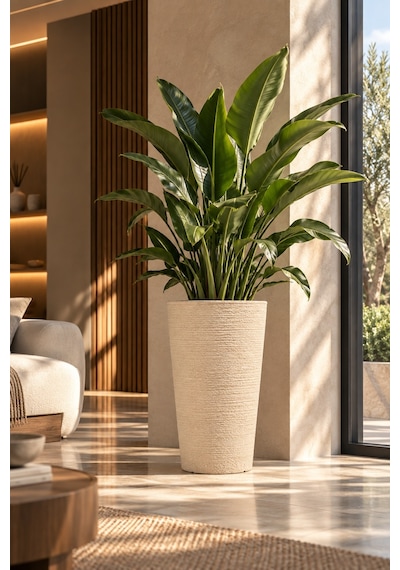 Bostann Dekoratif Saksı - Lıva 080 - 50l - Bej